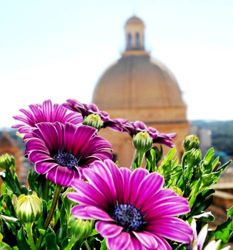 Noto Italia Código promocional habitación hotel Booking.com