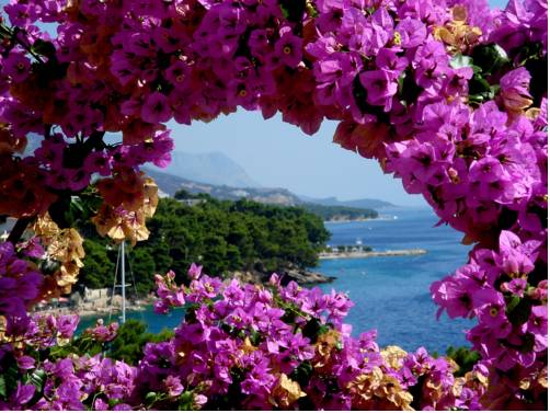 Brela Kroatië Hotelkamer Promotiecode Booking.com