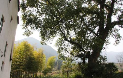 Wuyuan China Hotelkamer Promotiecode Booking.com